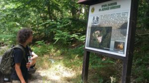 Harcerska Akcja Letnia 2020