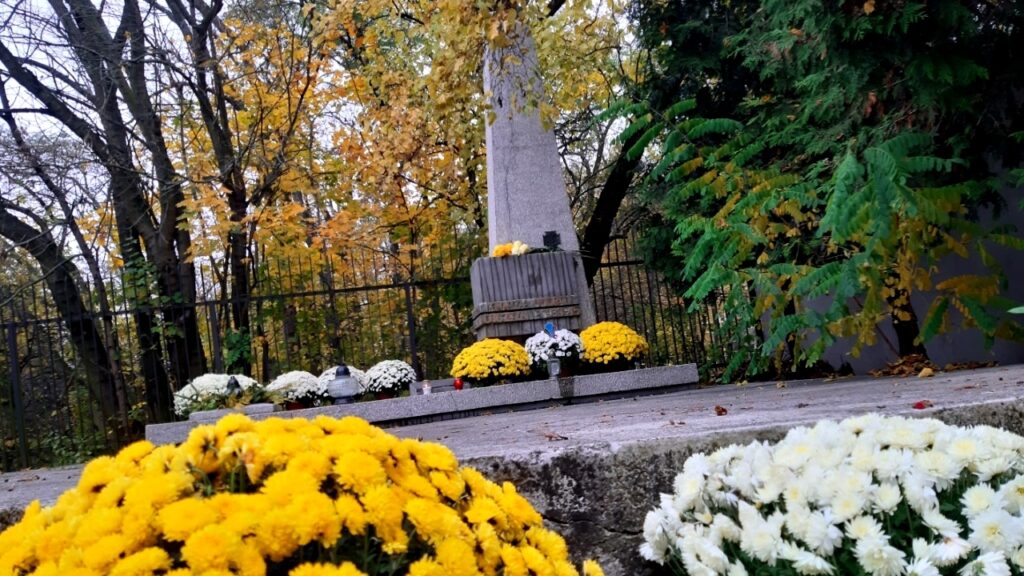 święto niepodległości 2020