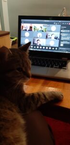 zbiórka zdalna odprawa kot