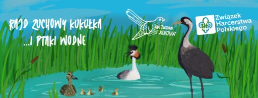 rajd zuchowy kukułka i ptaki wodne
